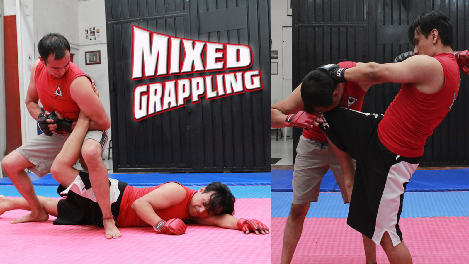 entrenamiento-programas-mma-tono.jpg