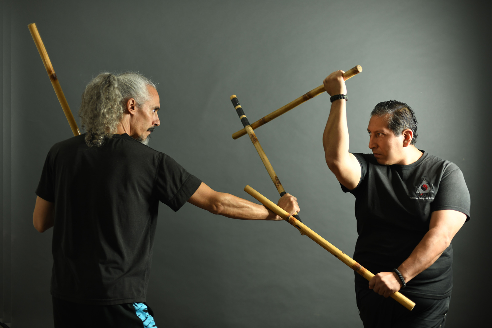 entrenamiento-programas-sic-kali.jpg